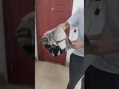 কিনেটিক ফ্যাসেড