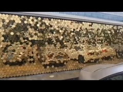 কিনেটিক -ফ্যাসেড